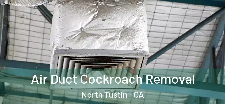 Air Duct Cockroach Removal North Tustin - CA