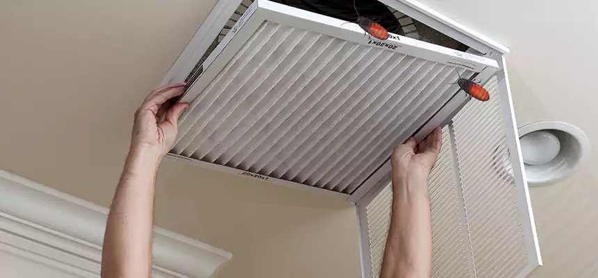 Preventive Cockroach-Proofing for Ducts in North Tustin