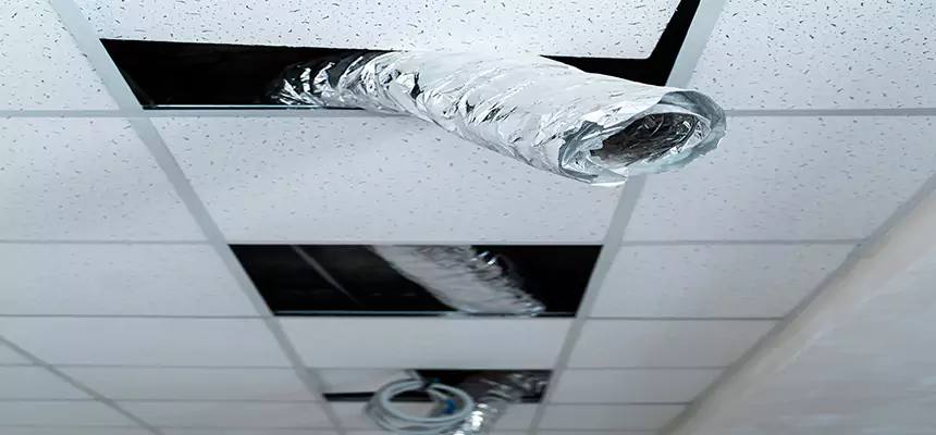 Our Air Duct Pet Hair Removal Services in North Tustin, CA