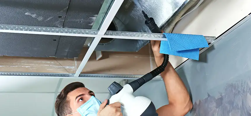 Our Air Duct Rodent Removal Services in North Tustin, CA