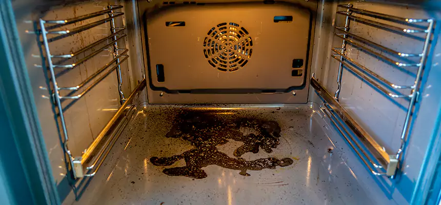 Our Dryer Vent Mold Cleaning Services in North Tustin, CA