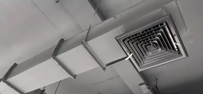 Our Rodent Droppings In Vents Services in North Tustin, CA