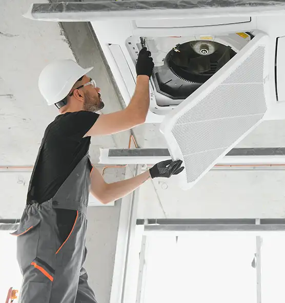 About Air Duct Rodent Removal in North Tustin, CA