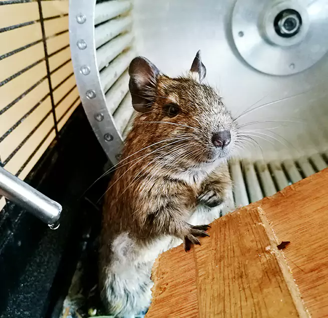 Why Homeowners & Businesses Trust Us North Tustin, CA