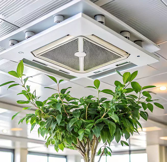 Why Homeowners & Businesses Trust Us in North Tustin, CA